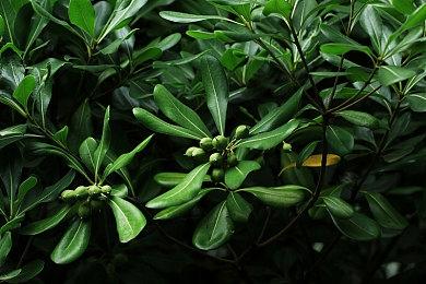 科幻题材回合制游戏《威赫战线》将于2026年2月5日登陆PC端 免费试玩版现已发布!