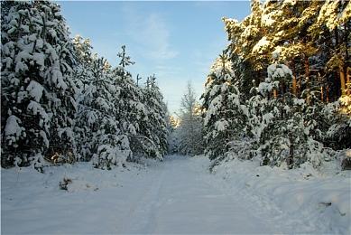 下一代PSVR？索尼展示8K低延迟VR装置