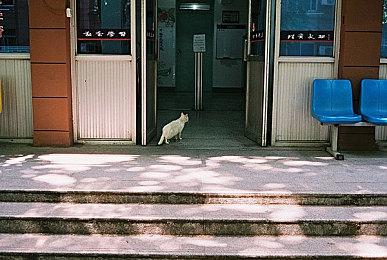 B社托德：比起《无人深空》 《星空》更像《荒野大镖客2》